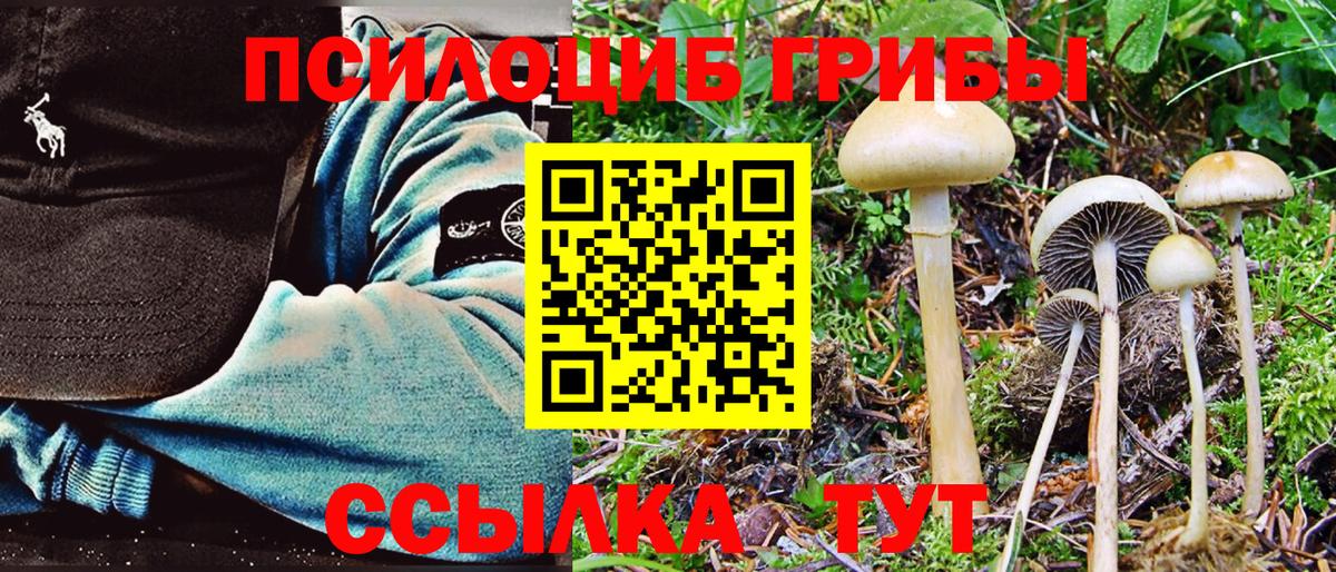 Галлюциногенные грибы MAGIC MUSHROOMS  Вход с VPN  Псилоцибиновые грибы ЛСД  Москва 