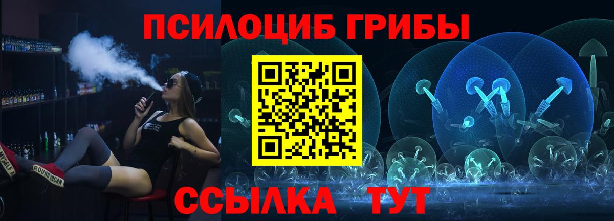 Псилоцибиновые грибы мицелий Москва