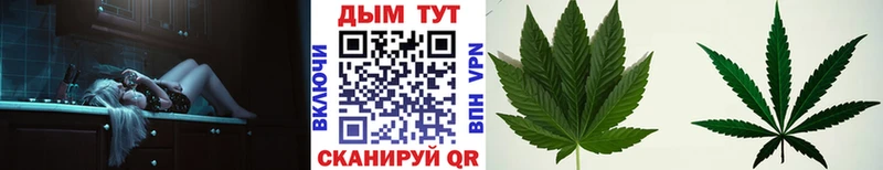 OMG tor  купить наркотики сайты  Москва  Бошки марихуана план 